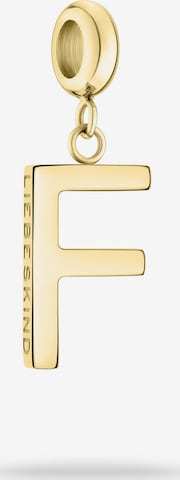 Liebeskind Berlin Pendant in Gold: front