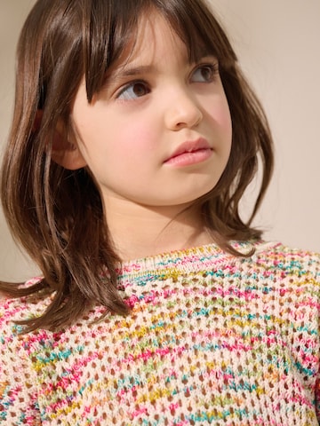 Next Pullover in Mischfarben