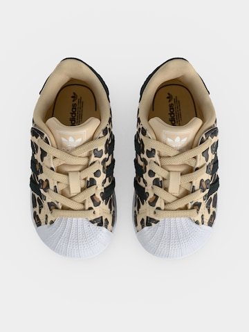 ADIDAS ORIGINALS Σνίκερ 'SUPERSTAR II' σε μπεζ