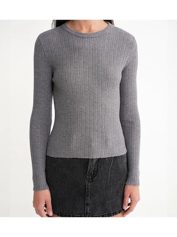 Pullover di MixRay in grigio