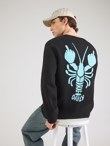 Iriedaily Свитер 'Non Merci Chef' в Черный: спереди