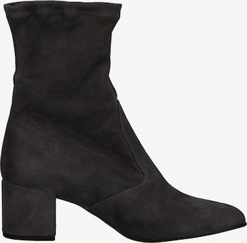 Högl Ankle Boots in Grey