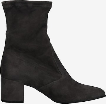 Bottines Högl en gris