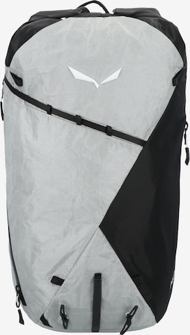 SALEWA Sports backpack 'Nxt 25' in Grey: front