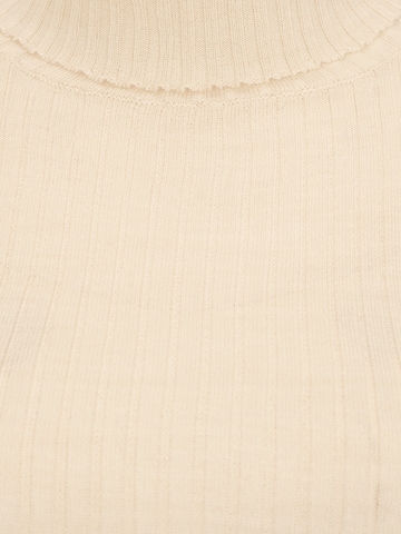 Selected Femme Petite Sweater 'Costina' in Beige