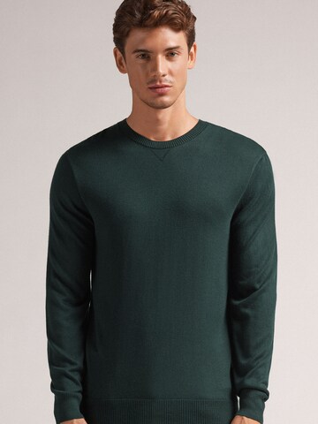 IUMAN Intimissimi Uomo Pullover in Grün