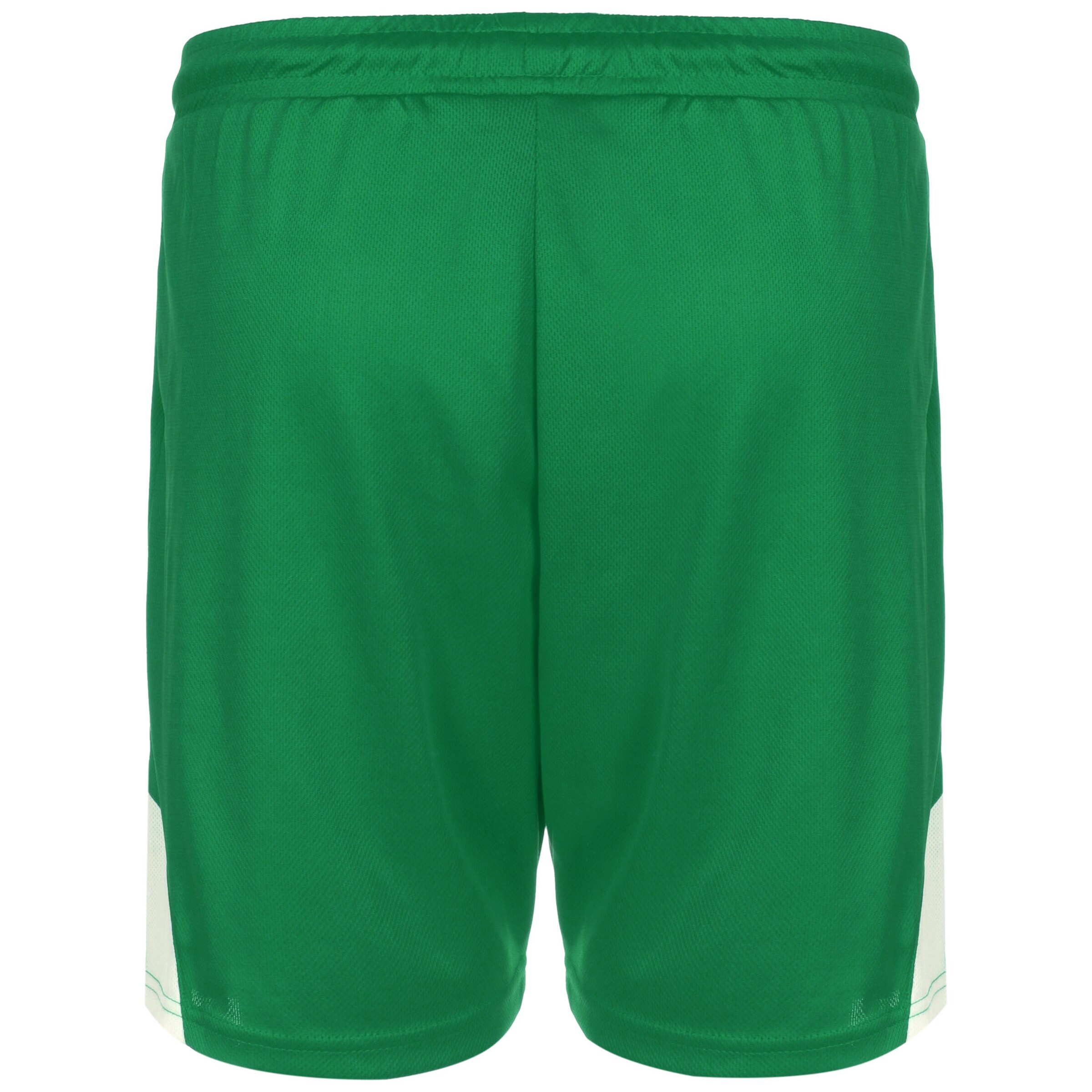 Largi Pantaloni sport 'Jam' de la SPALDING pe verde