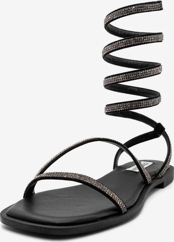 STEVE MADDEN Strap Sandals 'Azaria' in Black