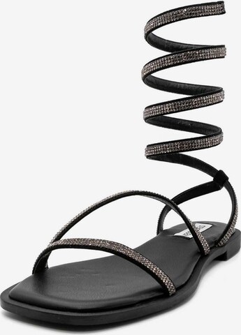 STEVE MADDEN Sandalen met riem 'Azaria' in Zwart