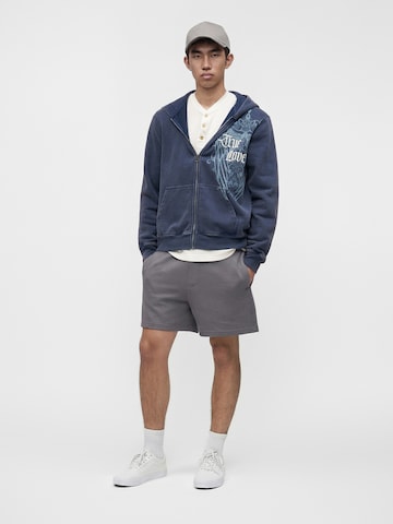 Loosefit Pantaloni di HOLLISTER in grigio