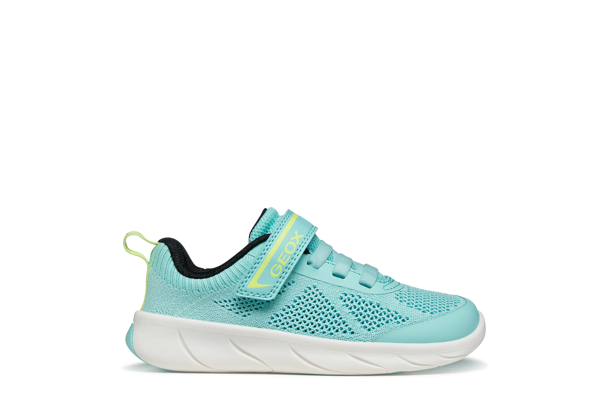 GEOX Sneakers in Blue