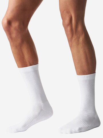 Von Jungfeld Socks 'Einfarbige CLASSICS' in White