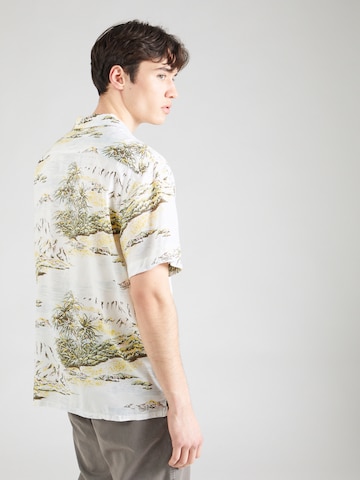 LEVI'S ® Классический крой Рубашка 'CUBANO PARROTS' в Серый