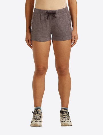 Slimfit Pantaloni outdoor 'Crush II' de la ICEBREAKER pe maro: față