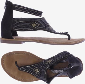LAZAMANI Sandals & High-Heeled Sandals in 41 in Black: front