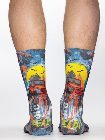 Wigglesteps Sokken 'Off Road II' in Gemengde kleuren
