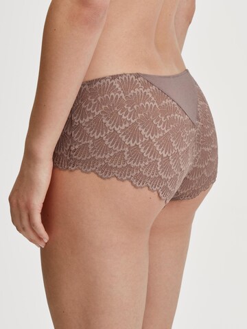 Panty 'Modal Sense' di CALIDA in marrone