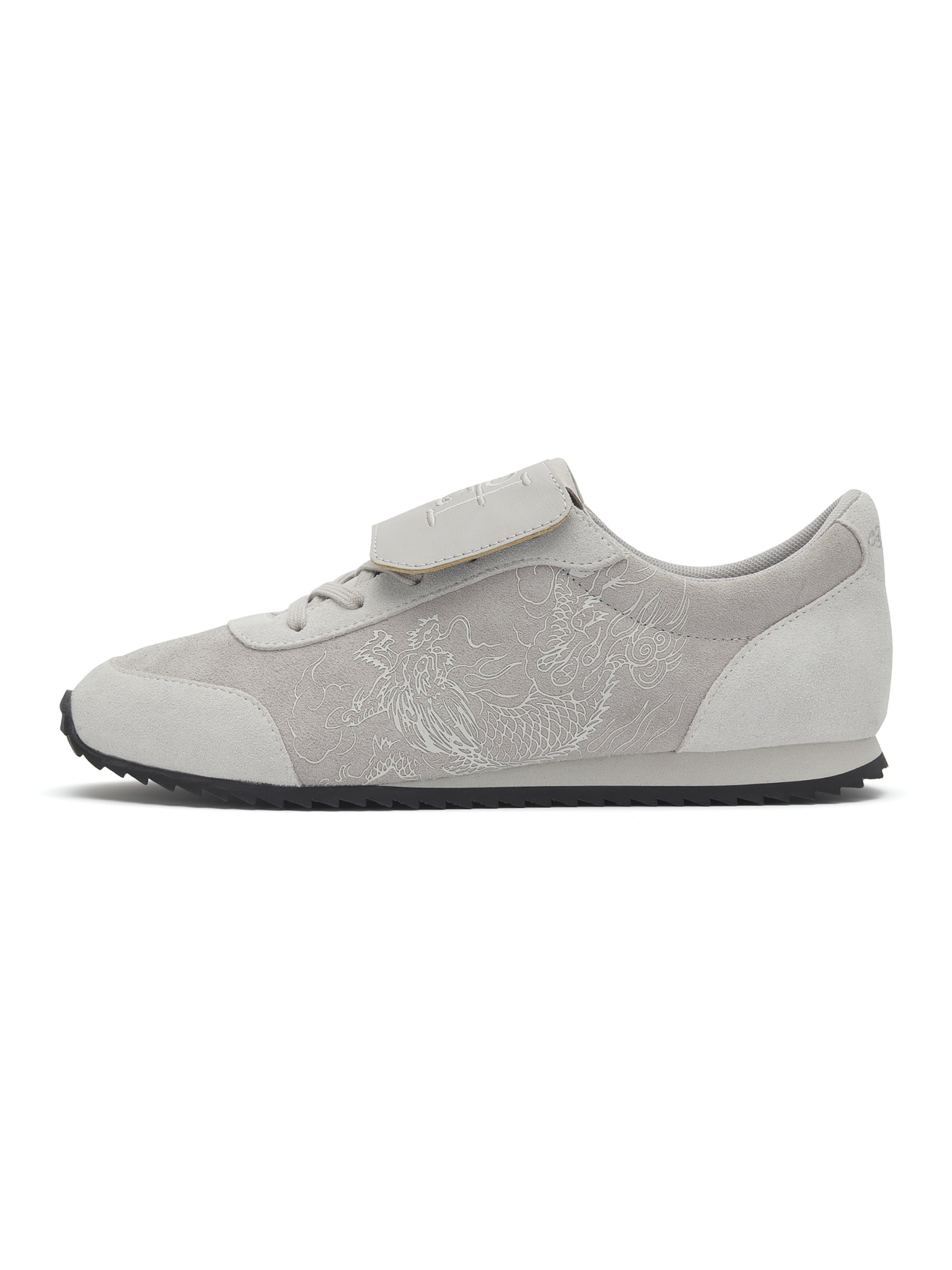 Baskets basses 'Crawling Dragon' Ed Hardy en gris : devant
