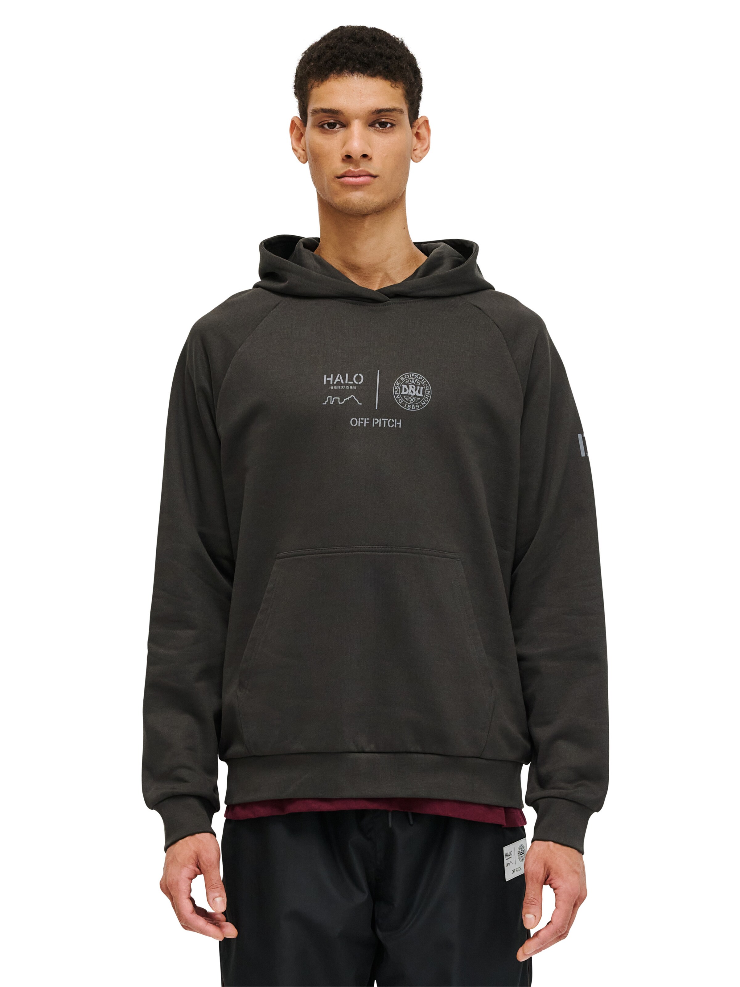 HALO Sweatshirt in Grey: front