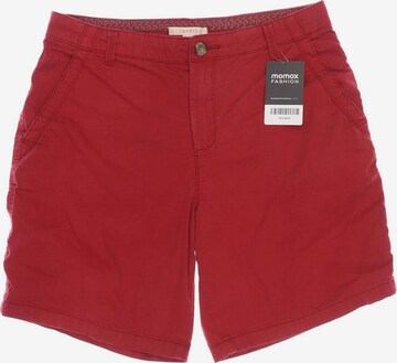 ESPRIT Shorts S in Rot: predná strana