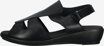 Arcopedico Sandals in Black