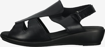 Arcopedico Sandale in Schwarz