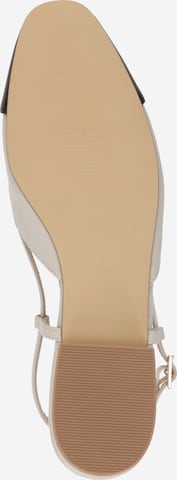 STEVE MADDEN Ballerina 'BELINDA' in Grau