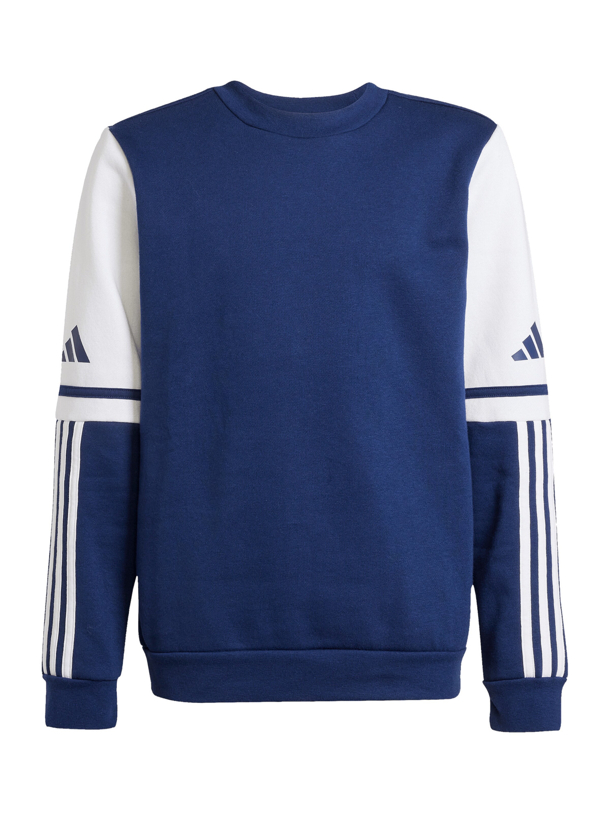 ADIDAS PERFORMANCE Sporsweatshirt in Blau: Vorderseite