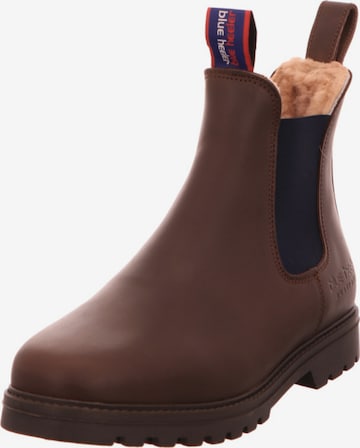 Blue Heeler Chelsea Boots in Brown: front