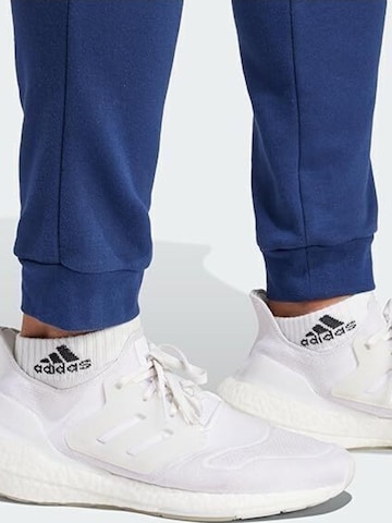 ADIDAS Regular Sporthose 'Entrada 22'‌‌‌‌‌‌‌‌ in Blau