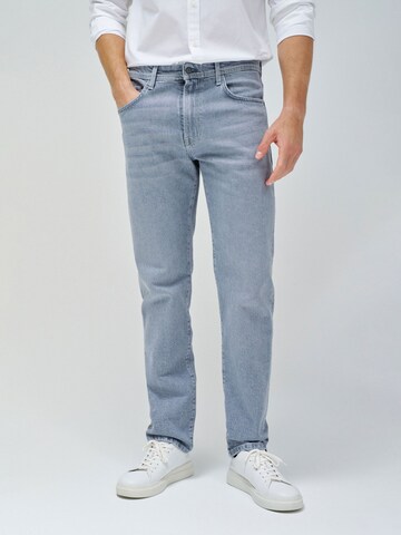 Salsa Jeans Regular Jeans in Grey: front
