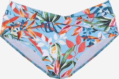 VENICE BEACH Bikinihousut koossa XS värissä marine / vaaleansininen / oliivi / valkoinen, Tuotenäkymä