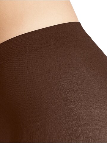 FALKE Strumpfhose 'Cotton Touch'‌‌‌‌‌‌‌‌‌‌ in Braun
