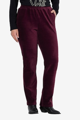 purpurinė Ulla Popken Standartinis Kelnės: priekis