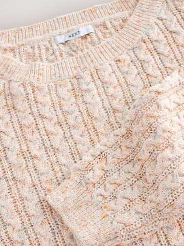Next Pullover in Beige