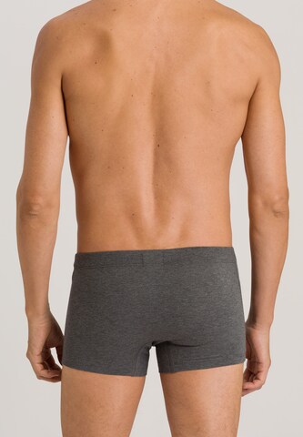 Hanro Boxer shorts ' Cotton Essentials ' in Grey