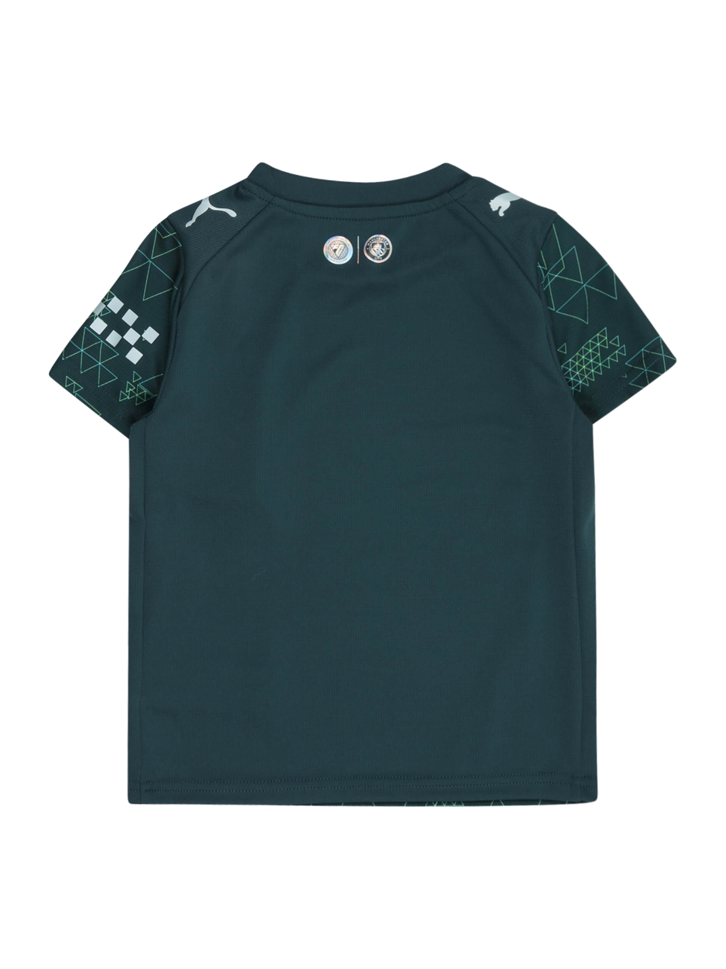 PUMA Функциональная футболка 'Manchester City 25/26 Viertes' в Зеленый