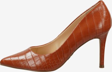 STEVE MADDEN Pumps in Braun