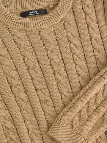 Pullover di Next in marrone