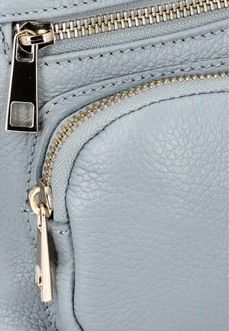 zils faina Pleca soma