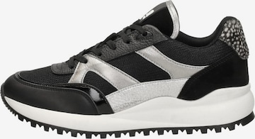 Baskets basses 'Boyd' MARUTI en noir : devant