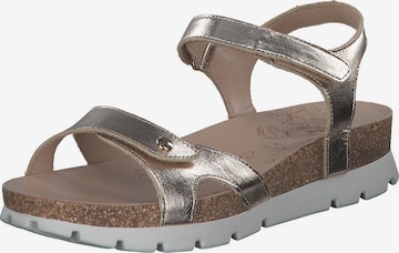 PANAMA JACK Sandals 'Sulia' in Gold: front