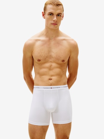 Tommy Hilfiger Underwear Bokserishortsit värissä harmaa: etupuoli