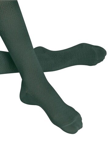 FALKE Tights 'Fable Estate' in Green