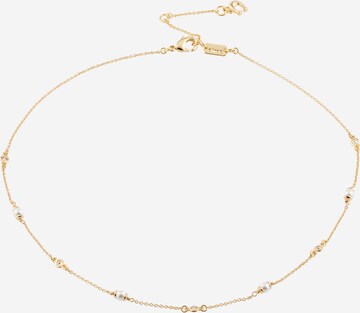 COACH Necklace in Gold: front