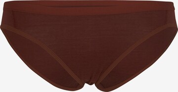 ICEBREAKER - Cueca desportiva 'Siren' em castanho: frente