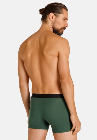 camano Boxer shorts 'Comfort' in Green