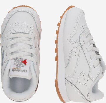 Reebok Sneaker i vit