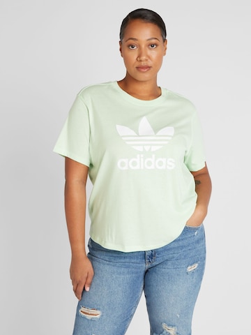 ADIDAS ORIGINALS T-shirt 'Trefoil' i grön: framsida
