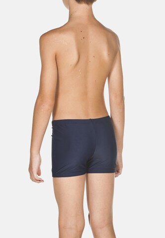 ARENA Board Shorts 'DYNAMO' in Blue